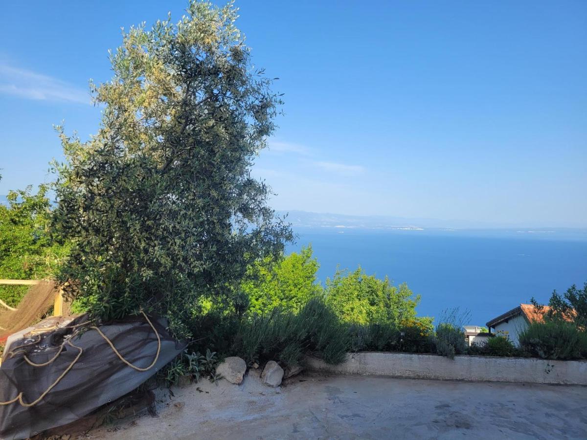 Apartments Chiara Mit Meerblick Und Pool Und Jacuzzi Lovran Εξωτερικό φωτογραφία
