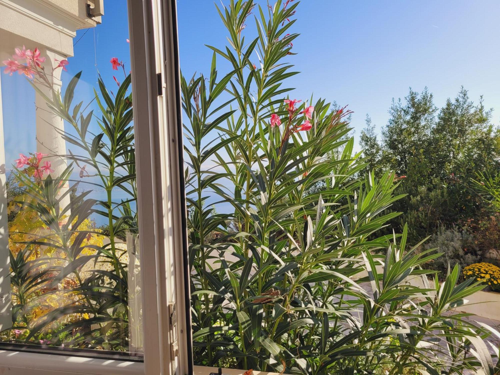 Apartments Chiara Mit Meerblick Und Pool Und Jacuzzi Lovran Εξωτερικό φωτογραφία