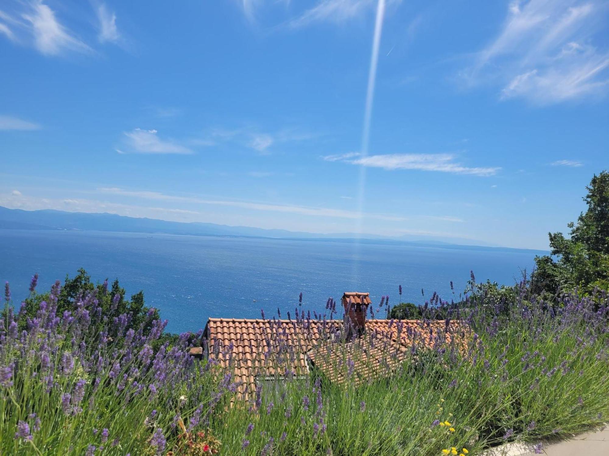 Apartments Chiara Mit Meerblick Und Pool Und Jacuzzi Lovran Εξωτερικό φωτογραφία